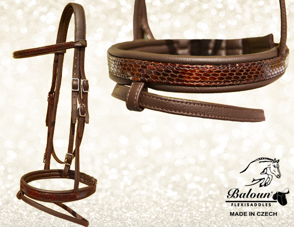 Bridle made of mocca leather with snake design leather
