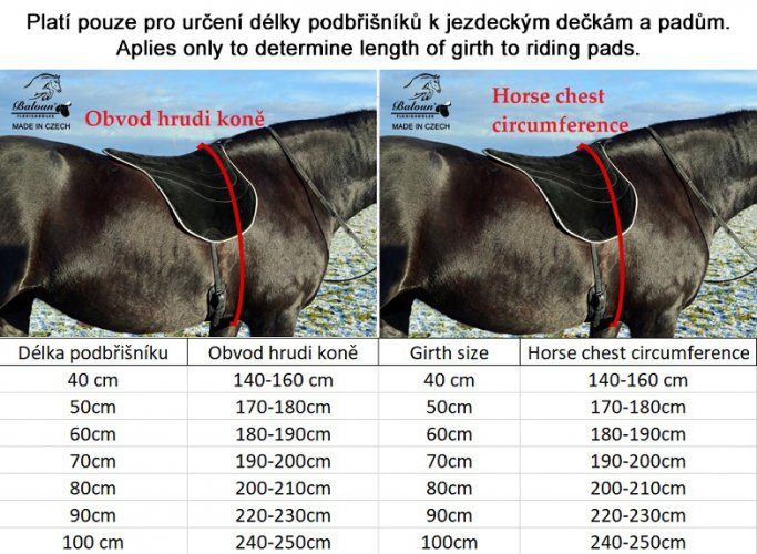 Size chart of girths according to horse's chest circumference. How to correctly measure the horse chest find in product description