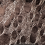 Bronze croco