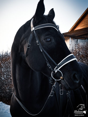 Baloun® bridle made of black leather with bright padding