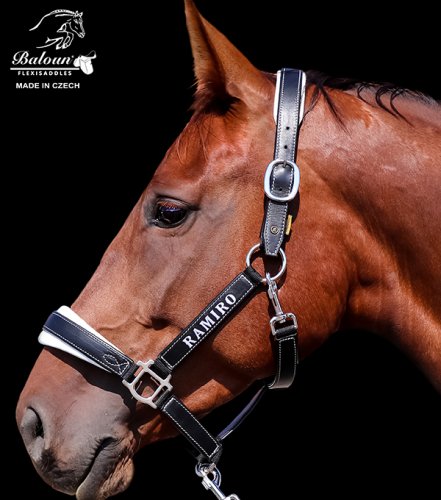 Leather halter Baloun® with name. Made of black-white leather