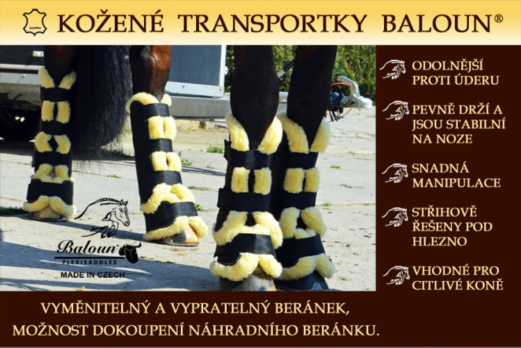 TRAVEL BOOTS