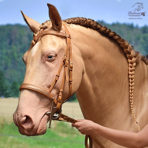 BRIDLE - with design leather