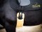 Sheepskin girth cover with Baloun® saddle