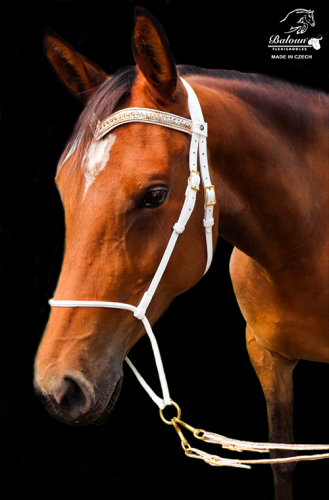 LEATHER REINS - with design leather