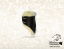 FETLOCK BOOTS - WITH REMOVABLE PADDING