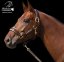 Leather halter Baloun® with name. Made of brown-gold leather
