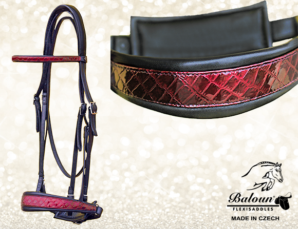 BRIDLE - DRESSAGE - with design leather