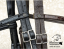 BRIDLE - DRESSAGE - with design leather