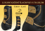 Tendon&Fetlock boots Baloun® -  made of black leather and gold design leather