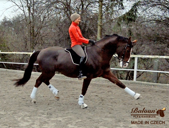 Fully gelled riding pad Baloun® on the horse. Rider is Adela Neumannova
