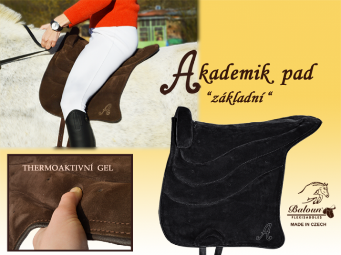 Accademic pad - basic on the horse, with thermoactive gel