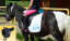 Mini saddle Baloun made of black leather with turquoise flower with Swarovski on both sides and turquoise back cantle
