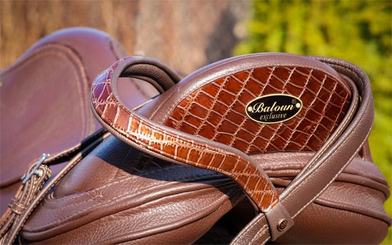 BRIDLE - WITH HANNOVER NOSEBAND - with design leather
