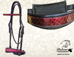 BRIDLE - DRESSAGE - with design leather
