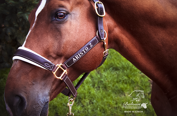 HORSE HALTER & LEAD SET WITH NAME - brown-cream