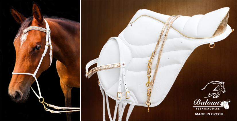 WHITE BRIDLE - with design leather - Type: White-gold bridle with Swarovski