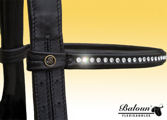 BRIDLE - WITH HANNOVER NOSEBAND - with design leather