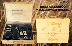 Dřevěný kufřík