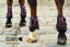 Pony tendon & fetlock boots Baloun® made of black leather with pink design leather and Swarovski crystals