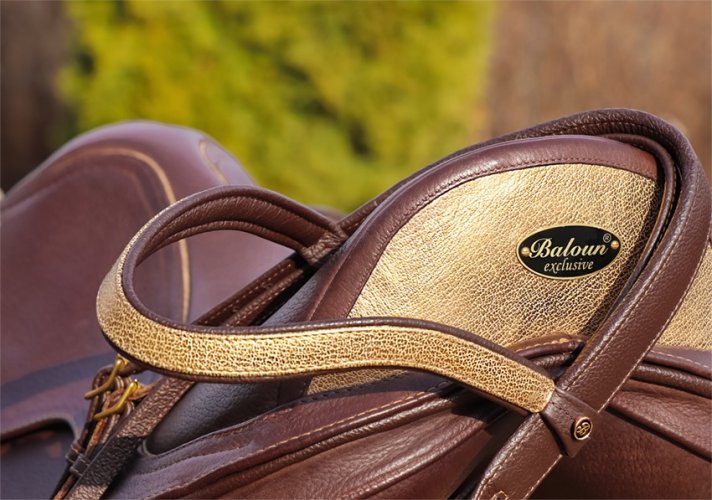 BRIDLE - BITLESS