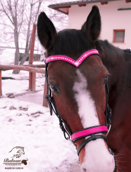 Baloun® pony bridle made of pink leather with Swarovski crystals